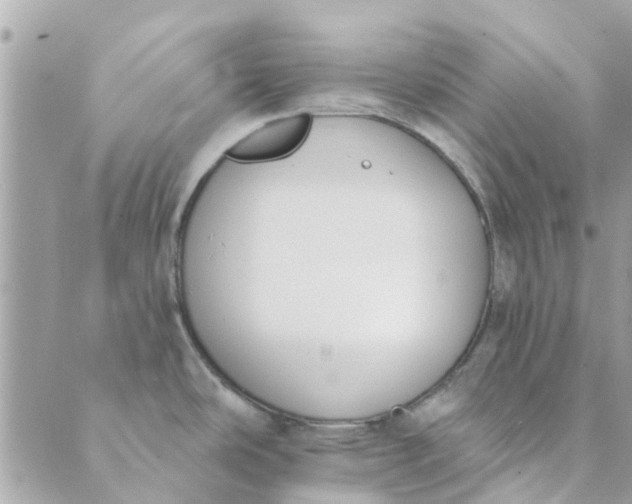 X0000089421486200706291020