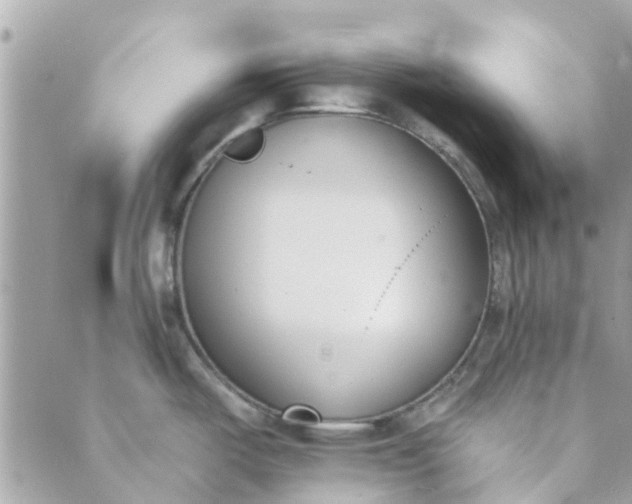 X0000089421487200706291020