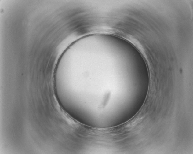 X0000089421488200706291020