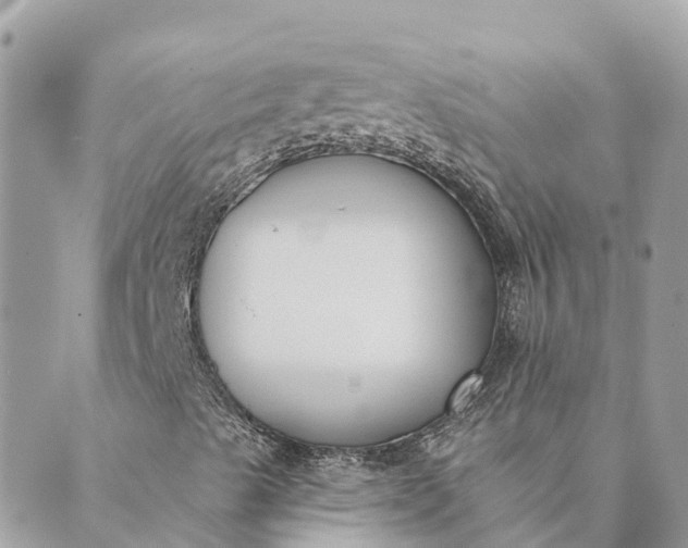 X0000089421489200706291019