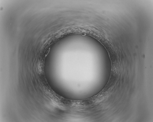 X0000089421490200706291020