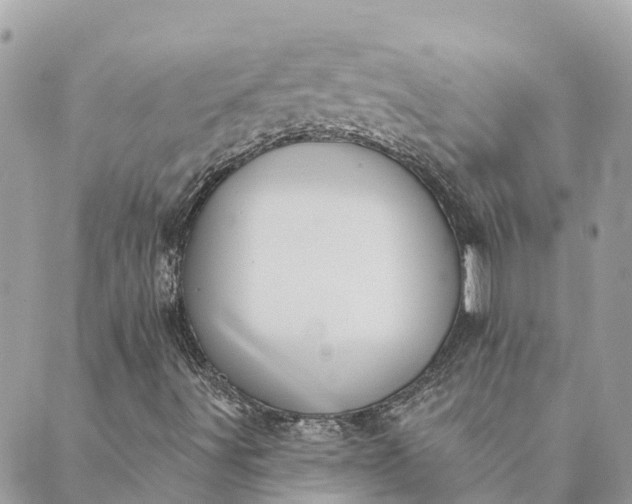 X0000089421491200706291020