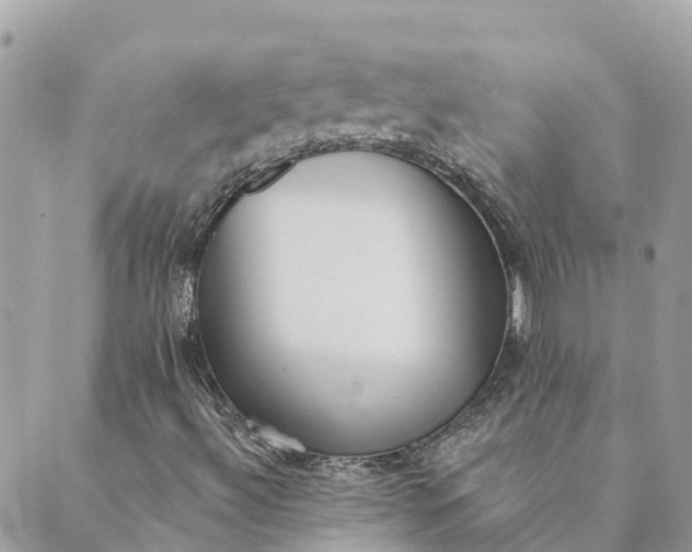 X0000089421492200706291020