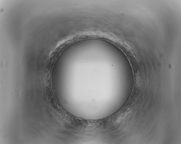 X0000089421494200706291020