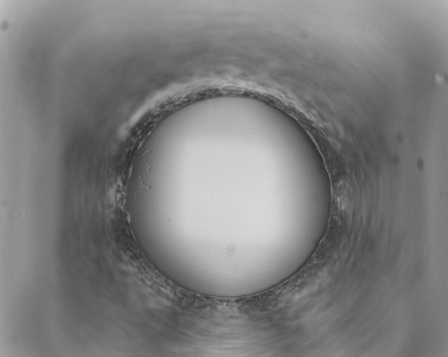 X0000089421495200706291020