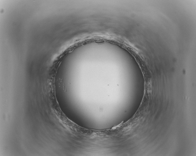 X0000089421496200706291020