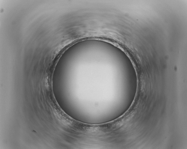 X0000089421497200706291020