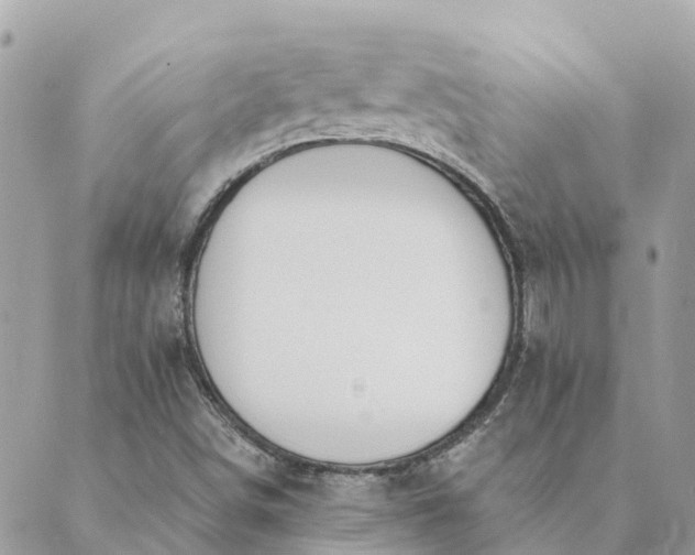 X0000089421498200706291020