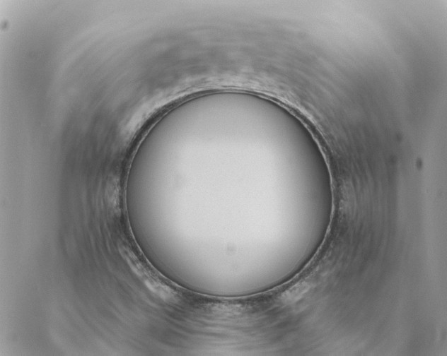 X0000089421499200706291020