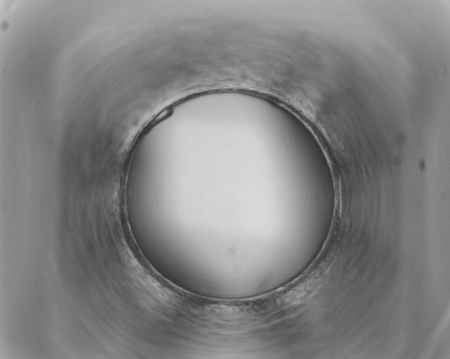 X0000089421500200706291020