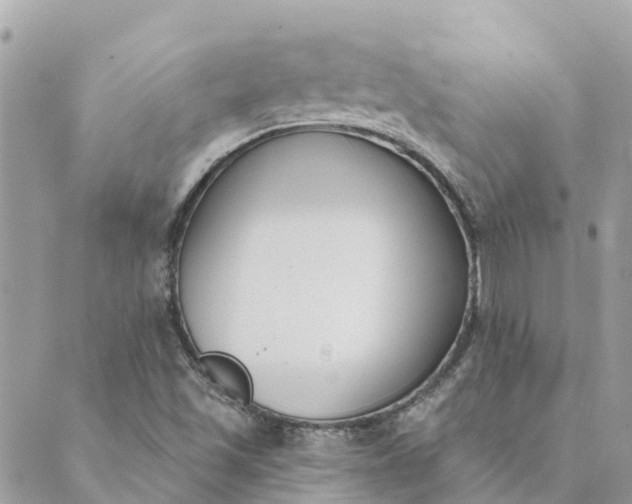 X0000089421501200706291020