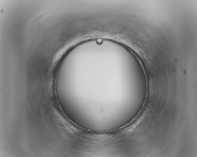 X0000089421502200706291020