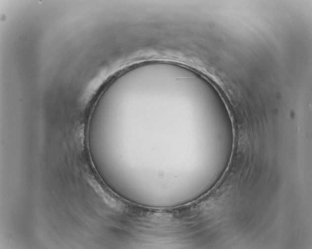 X0000089421503200706291020