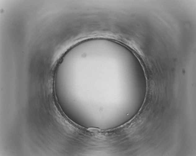 X0000089421504200706291020