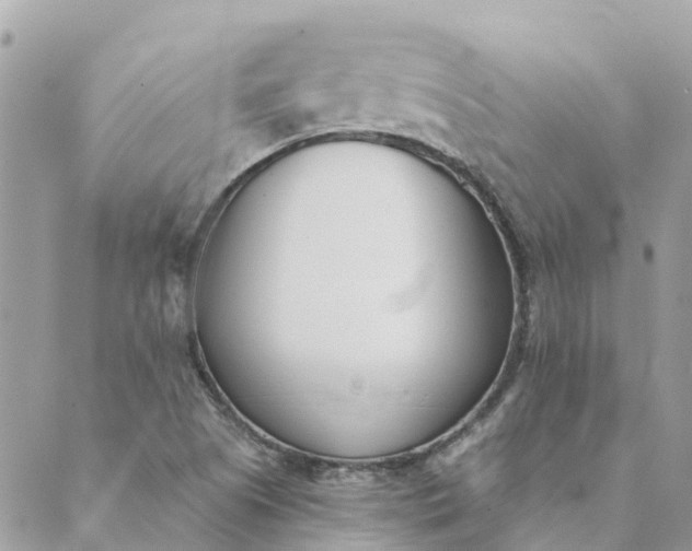 X0000089421505200706291020