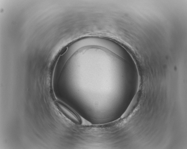 X0000089421506200706291020