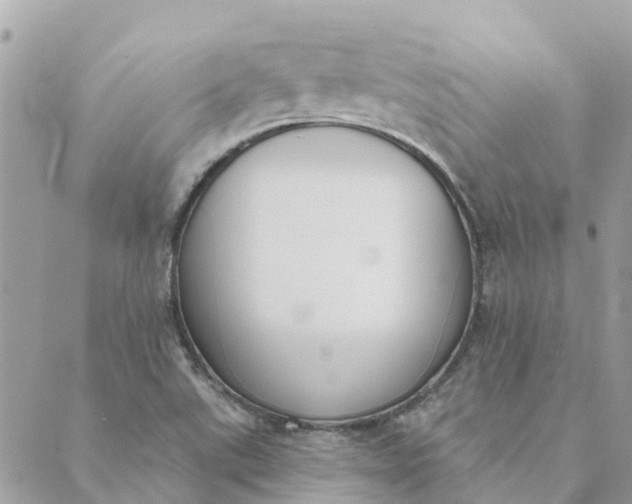 X0000089421507200706291020