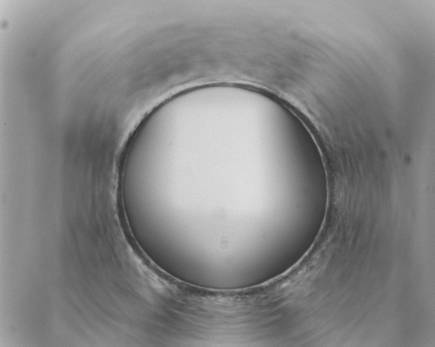 X0000089421508200706291020