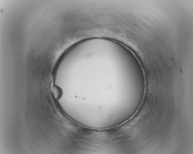 X0000089421509200706291020