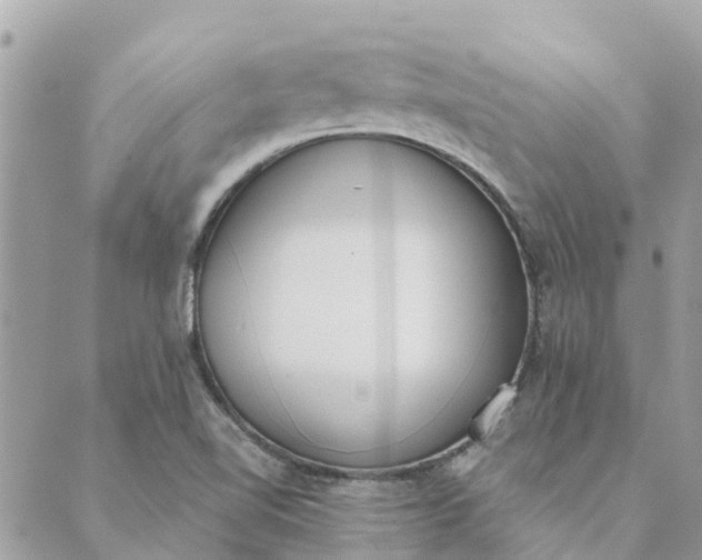 X0000089421510200706291020