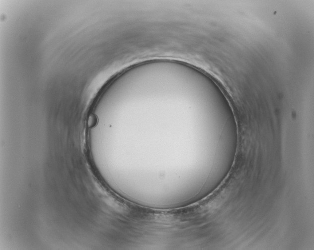 X0000089421511200706291020