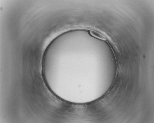 X0000089421512200706291020