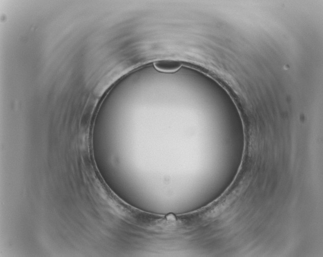 X0000089421513200706291020