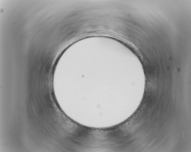 X0000089421514200706291020