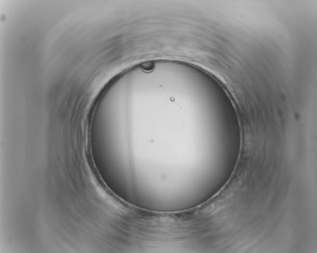 X0000089421515200706291020