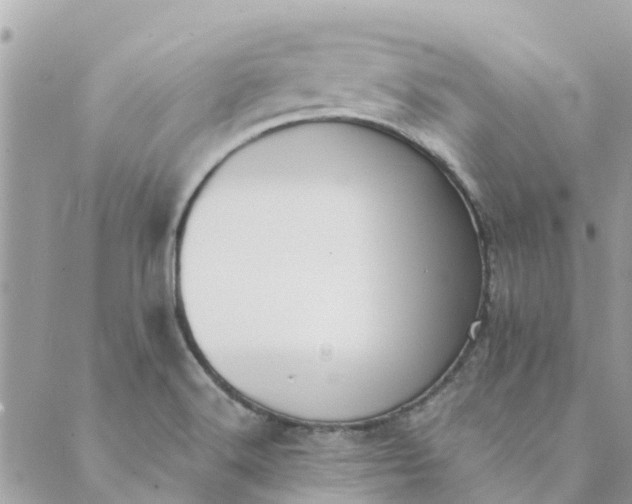 X0000089421516200706291020