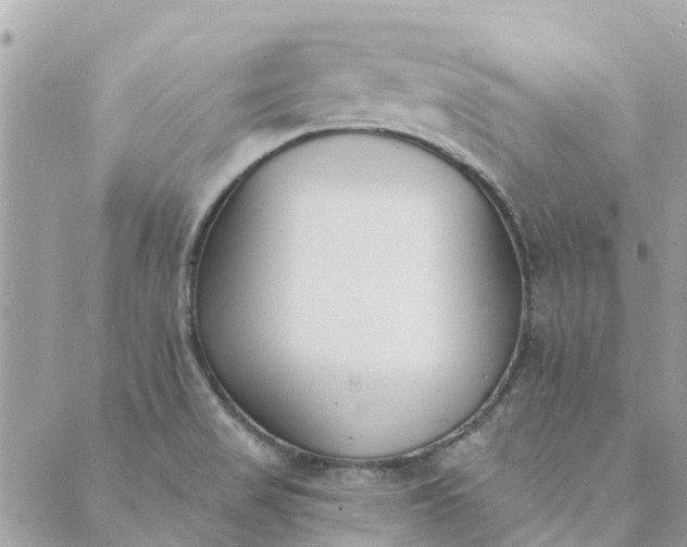 X0000089421517200706291020