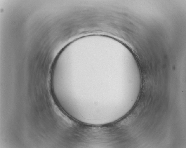 X0000089421518200706291020