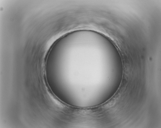 X0000089421519200706291020