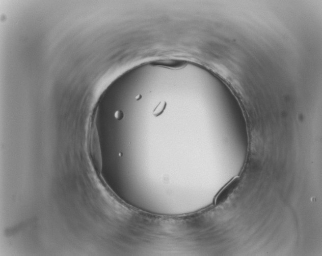 X0000089421520200706291020