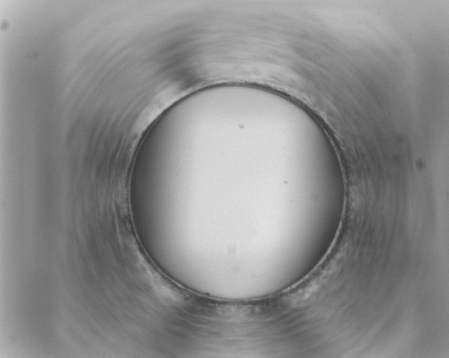 X0000089421521200706291020