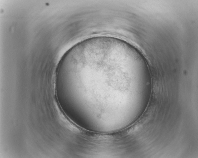 X0000089421522200706291020