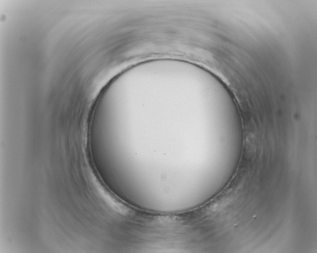 X0000089421523200706291020