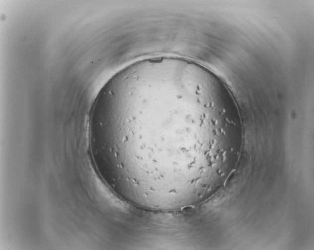 X0000089421524200706291020