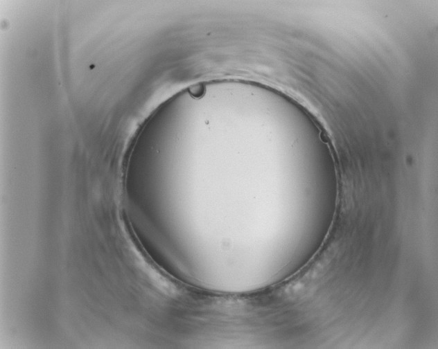 X0000089421525200706291020