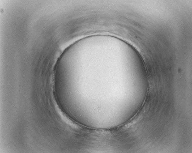 X0000089421526200706291020