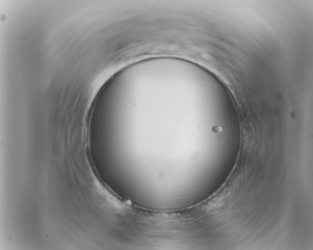 X0000089421527200706291020