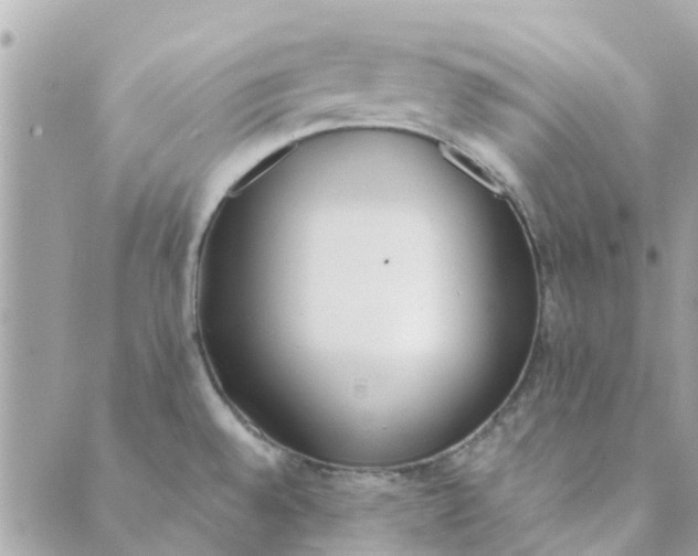 X0000089421528200706291020