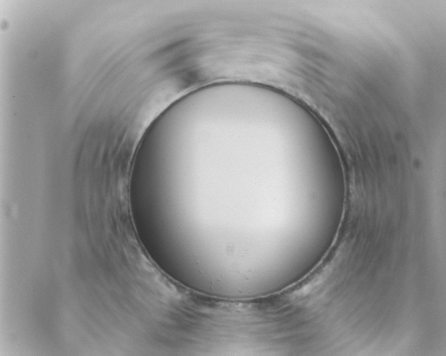 X0000089421529200706291020