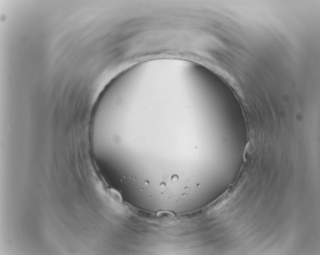 X0000089421530200706291020