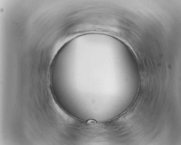 X0000089421531200706291020