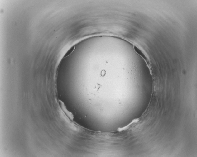 X0000089421532200706291020