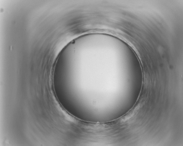 X0000089421533200706291020