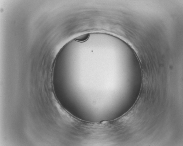 X0000089421534200706291020