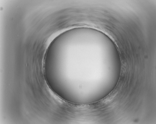 X0000089421535200706291020