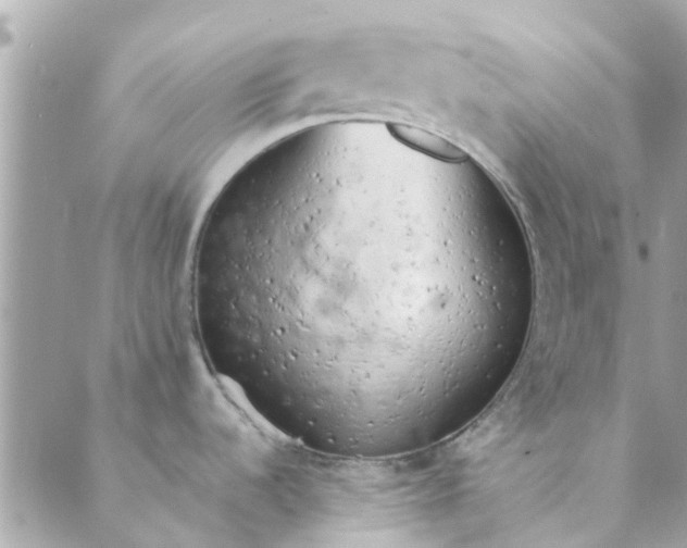 X0000089421536200706291020